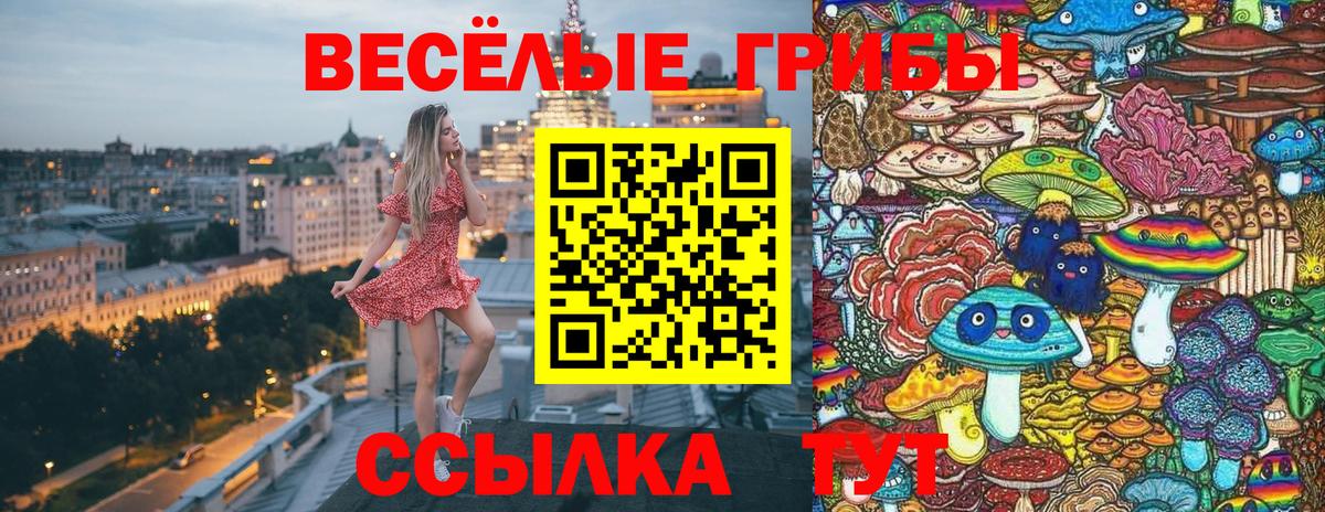 Псилоцибиновые грибы мухоморы Дмитров