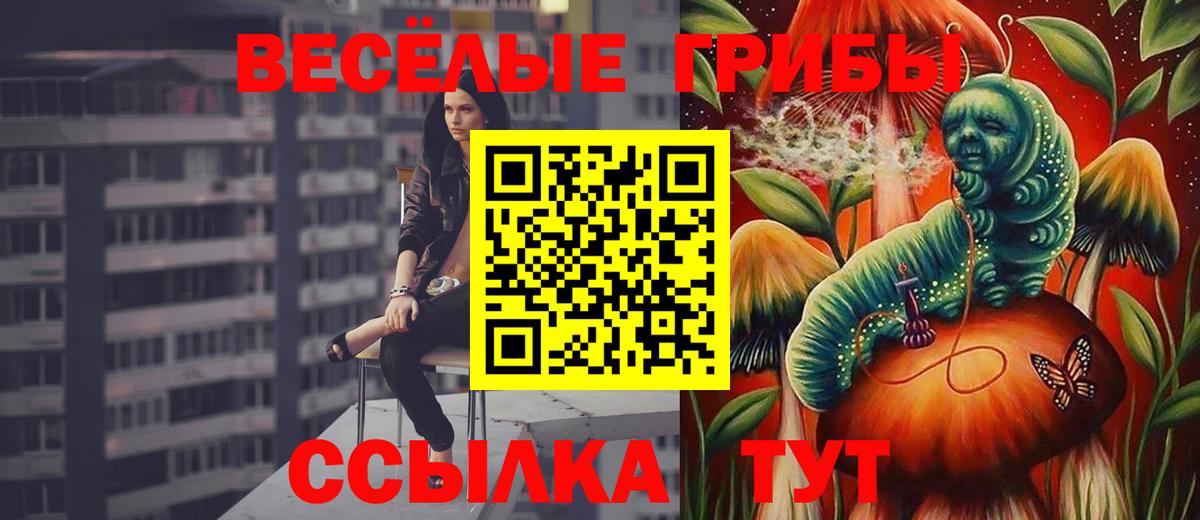 Дмитров  Галлюциногенные грибы ЛСД  Вход с VPN  Псилоцибиновые грибы мицелий 